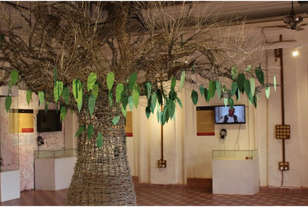Tree of Hope, Partition Museum, Amritsar